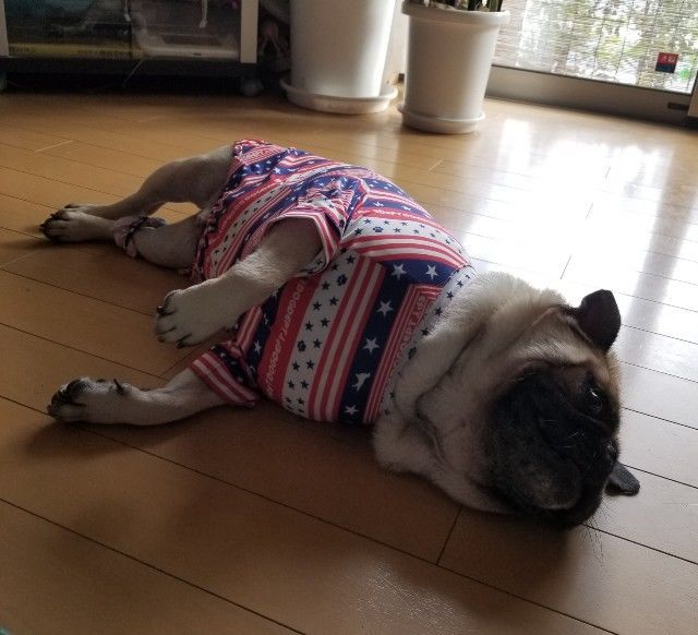 f:id:best-luck:20190923142326j:image