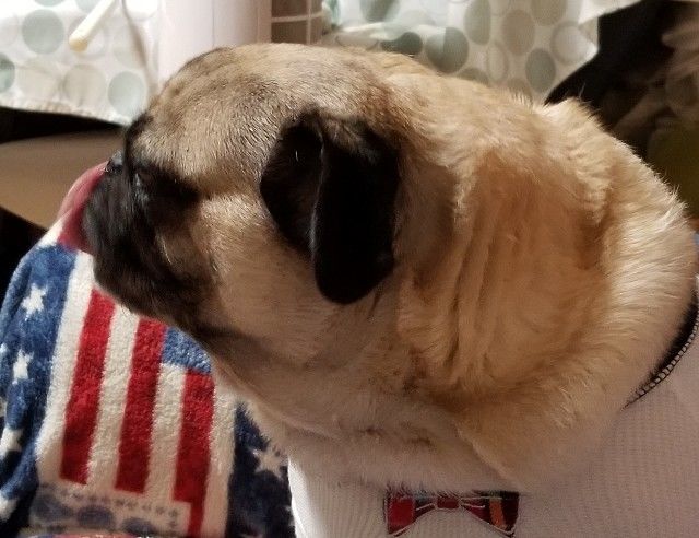 f:id:best-luck:20191202133908j:image