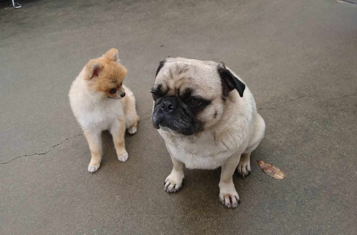 f:id:best-luck:20200208153528j:plain f:id:best-luck:20200208153528j:plain