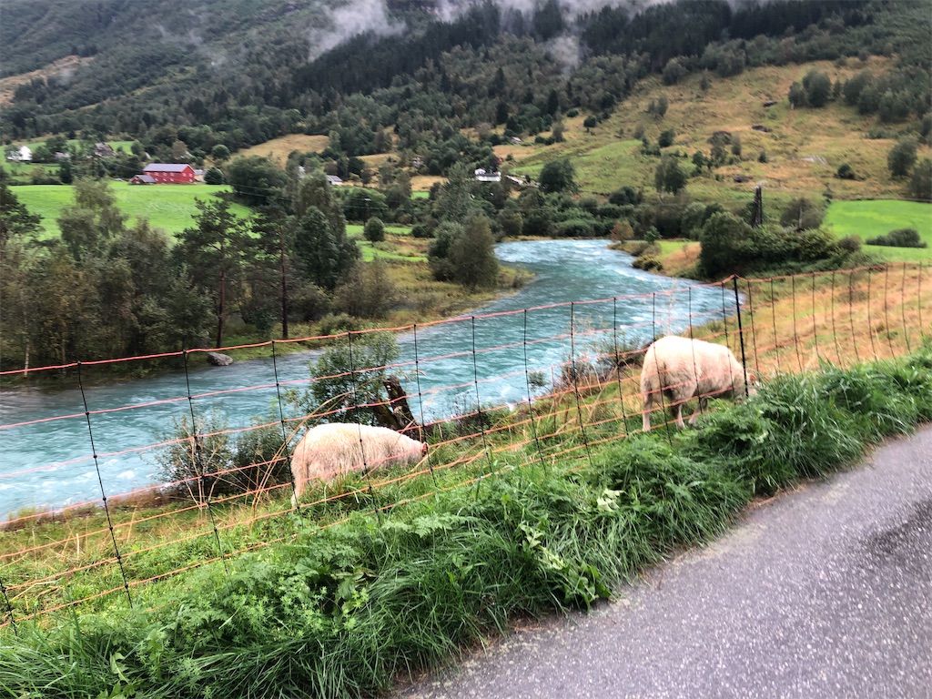 f:id:bestday_ever:20200321194447j:image