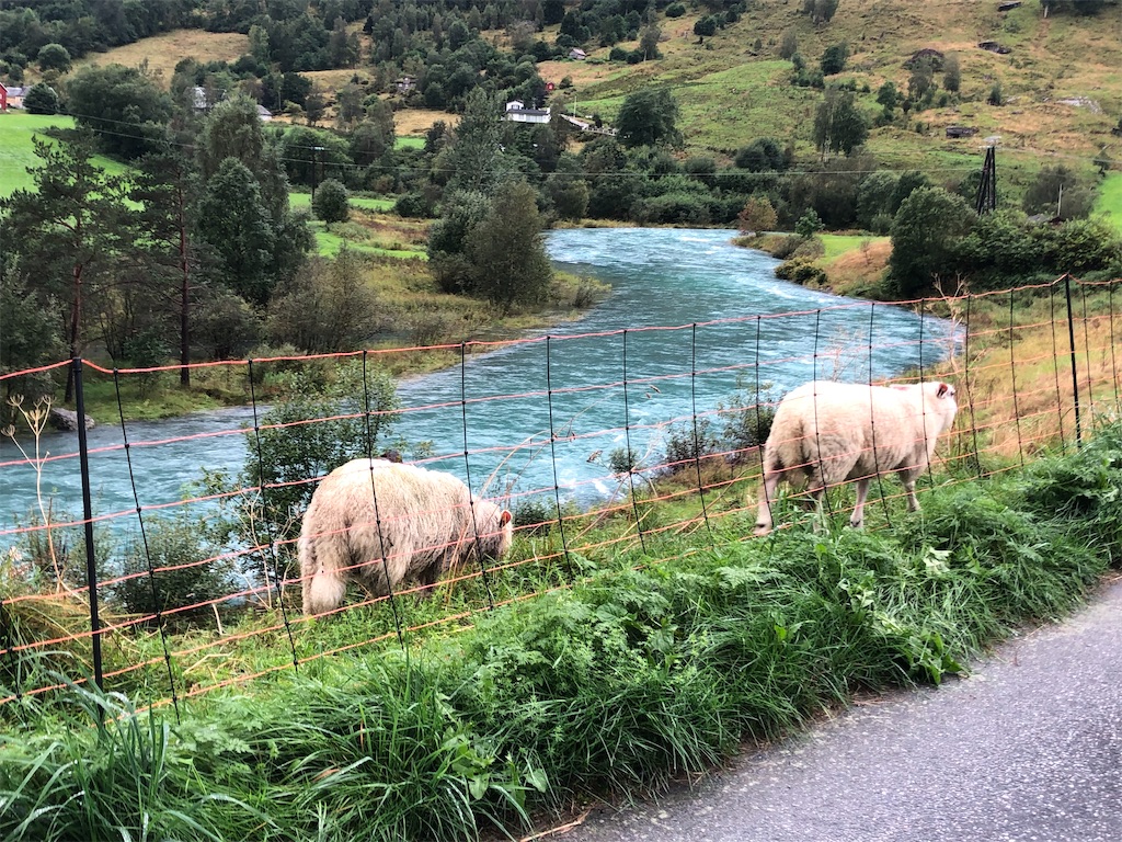 f:id:bestday_ever:20200321194518j:image