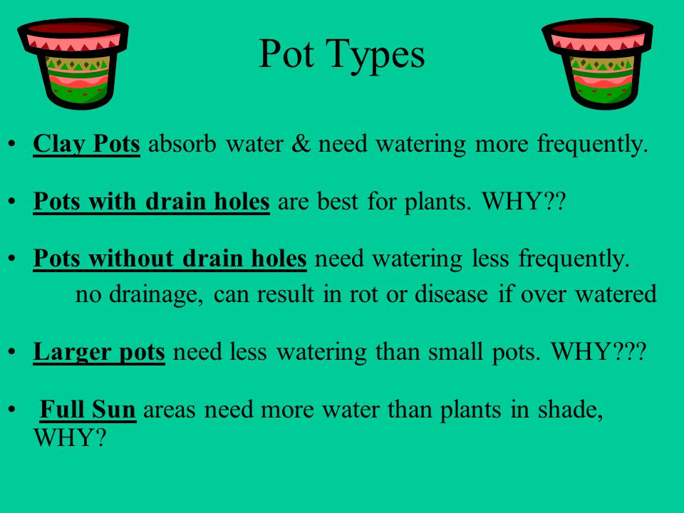 How Should I Plant in a Container with No Drainage Holes -  bestsoilforsucculentsinpots's diary