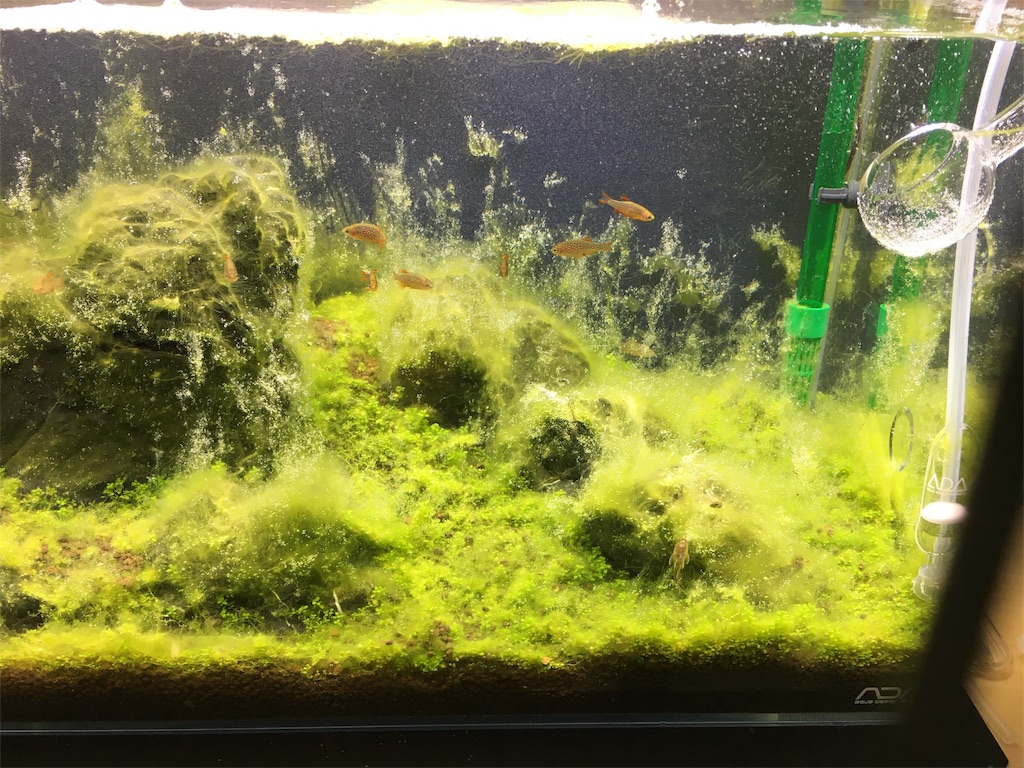 f:id:beta0527:20170825162556j:image