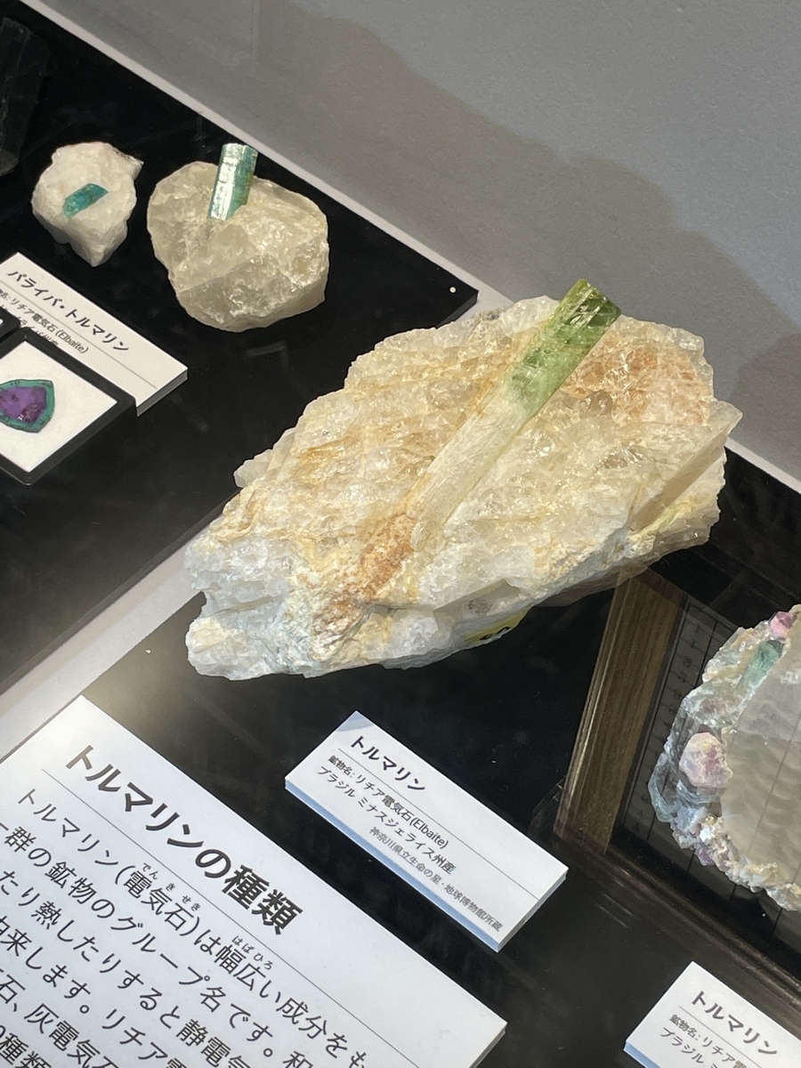 ネギによく似た色合いのトルマリン