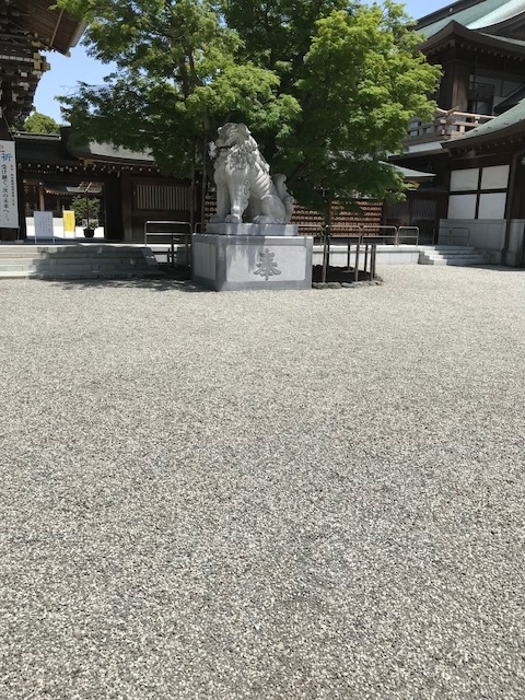 f:id:betamomoko:20180515171209j:plain f:id:betamomoko:20180515171209j:plain