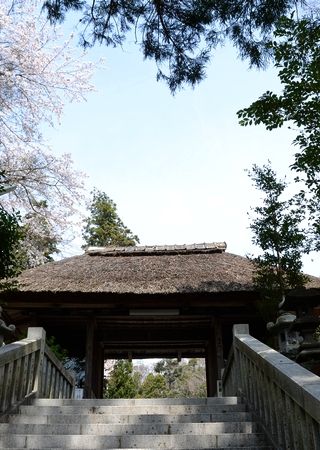 f:id:betamomoko:20180701194748j:plain f:id:betamomoko:20180701194748j:plain