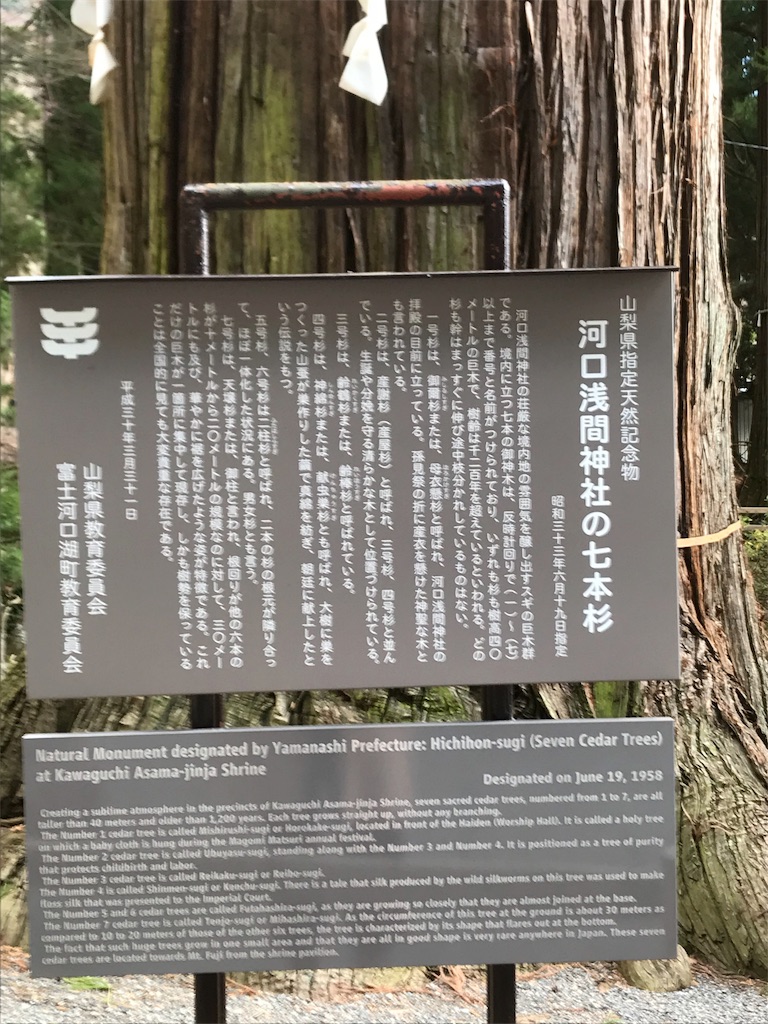 f:id:betamomoko:20200207170645j:image f:id:betamomoko:20200207170645j:image