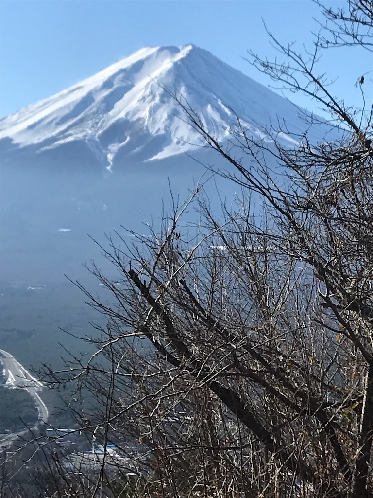 f:id:betamomoko:20200207170742j:image f:id:betamomoko:20200207170742j:image
