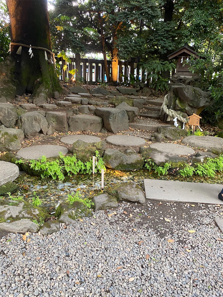 f:id:betamomoko:20210503092044j:image f:id:betamomoko:20210503092044j:image