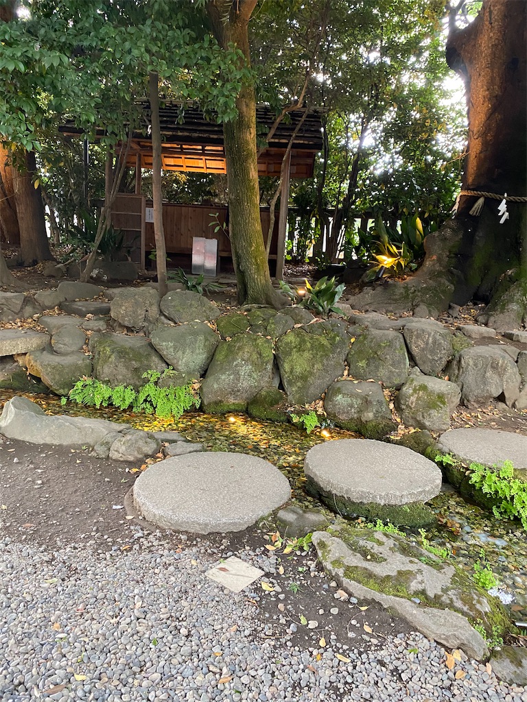f:id:betamomoko:20210503092049j:image f:id:betamomoko:20210503092049j:image