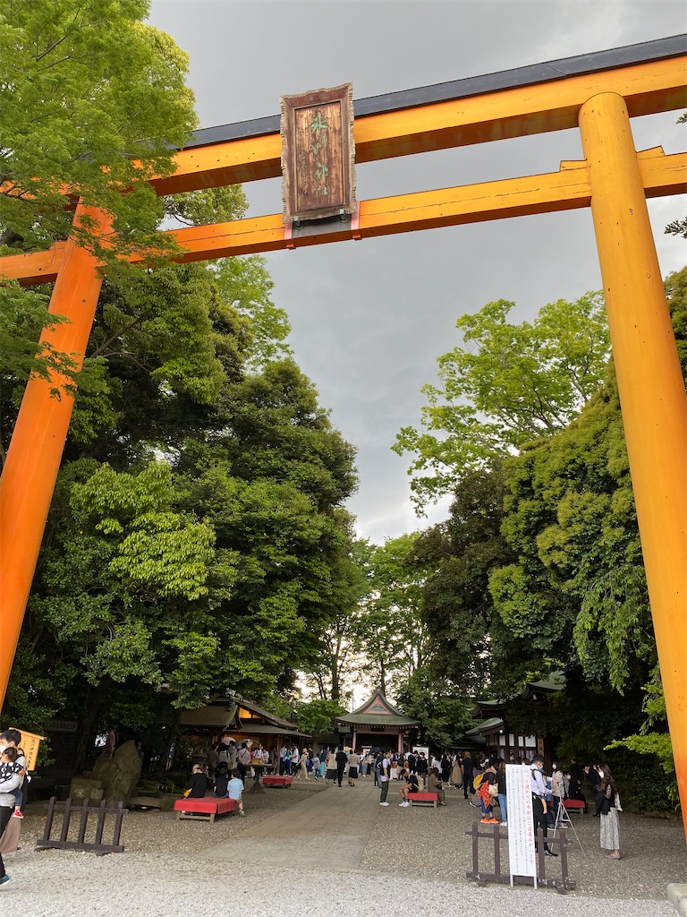 f:id:betamomoko:20210503092056j:image f:id:betamomoko:20210503092056j:image