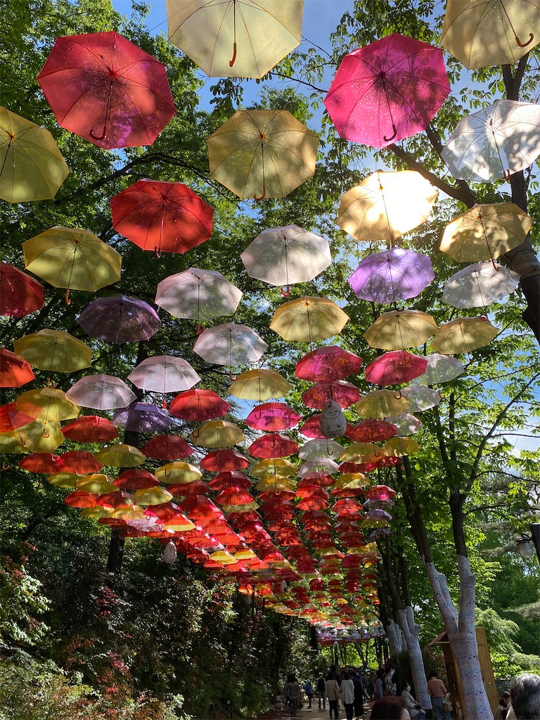 f:id:betamomoko:20210503093206j:image f:id:betamomoko:20210503093206j:image