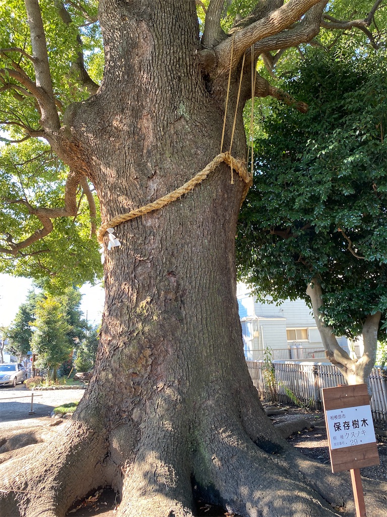f:id:betamomoko:20211114082741j:image f:id:betamomoko:20211114082741j:image