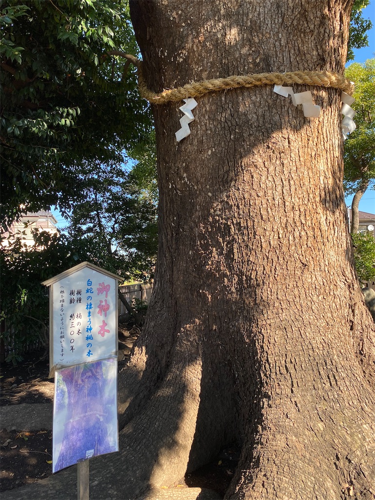 f:id:betamomoko:20211114082744j:image f:id:betamomoko:20211114082744j:image