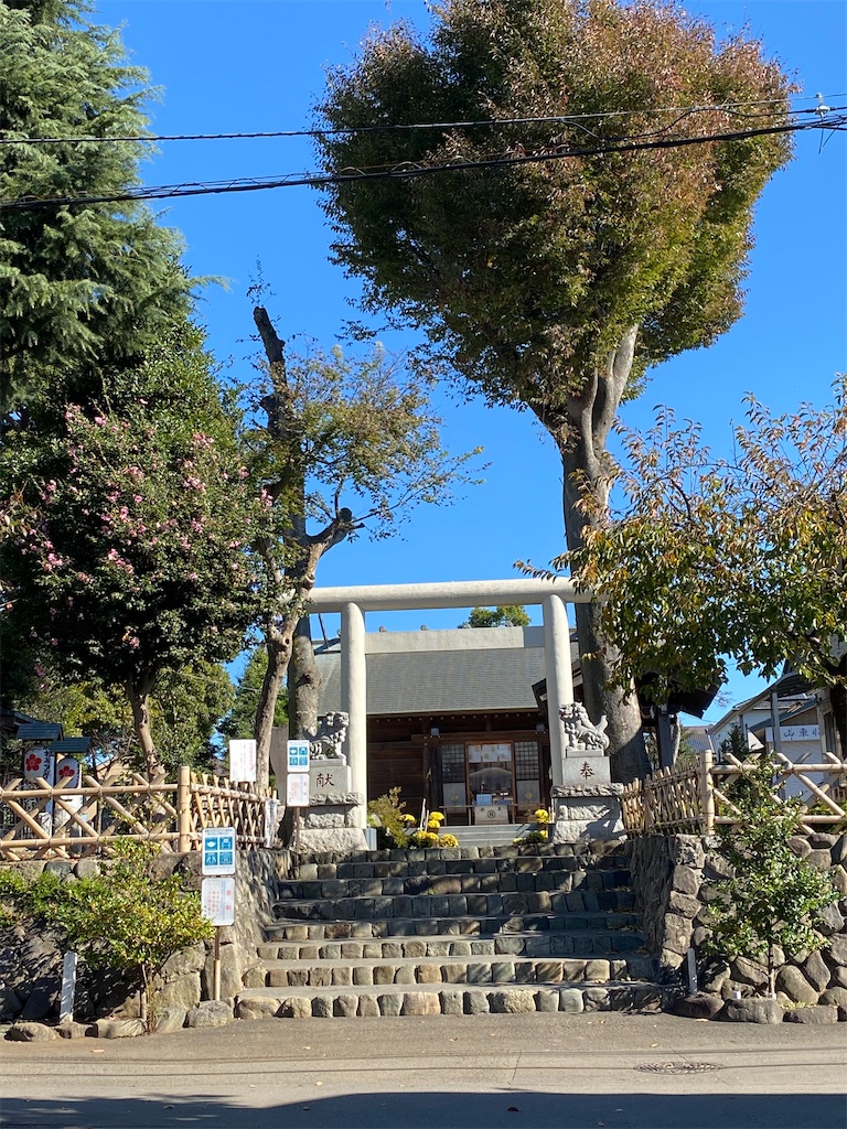 f:id:betamomoko:20220109051639j:image f:id:betamomoko:20220109051639j:image