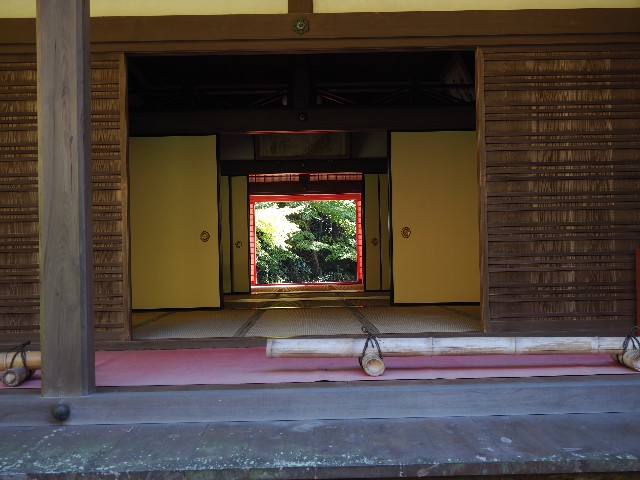 f:id:betebete00:20201207105735j:image