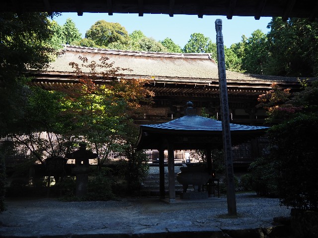 f:id:betebete00:20201207105918j:image