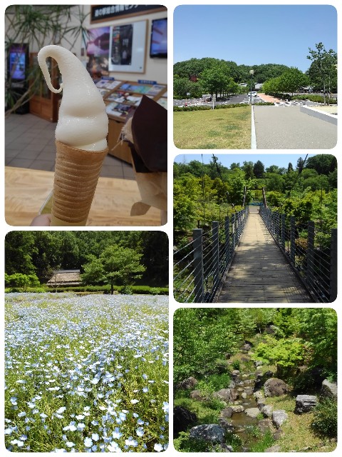 f:id:betebete00:20210608162131j:image f:id:betebete00:20210608162131j:image