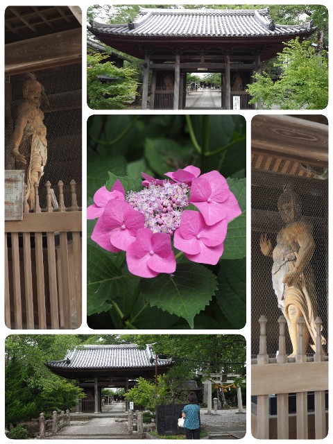 f:id:betebete00:20210811144055j:image f:id:betebete00:20210811144055j:image
