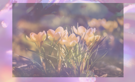 f:id:bethemagic:20200418112915p:plain