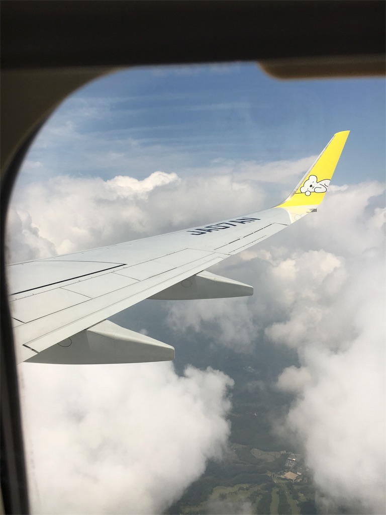 家族でディズニーへ行こう! 飛行機の予約編 - bettymusaのブログ