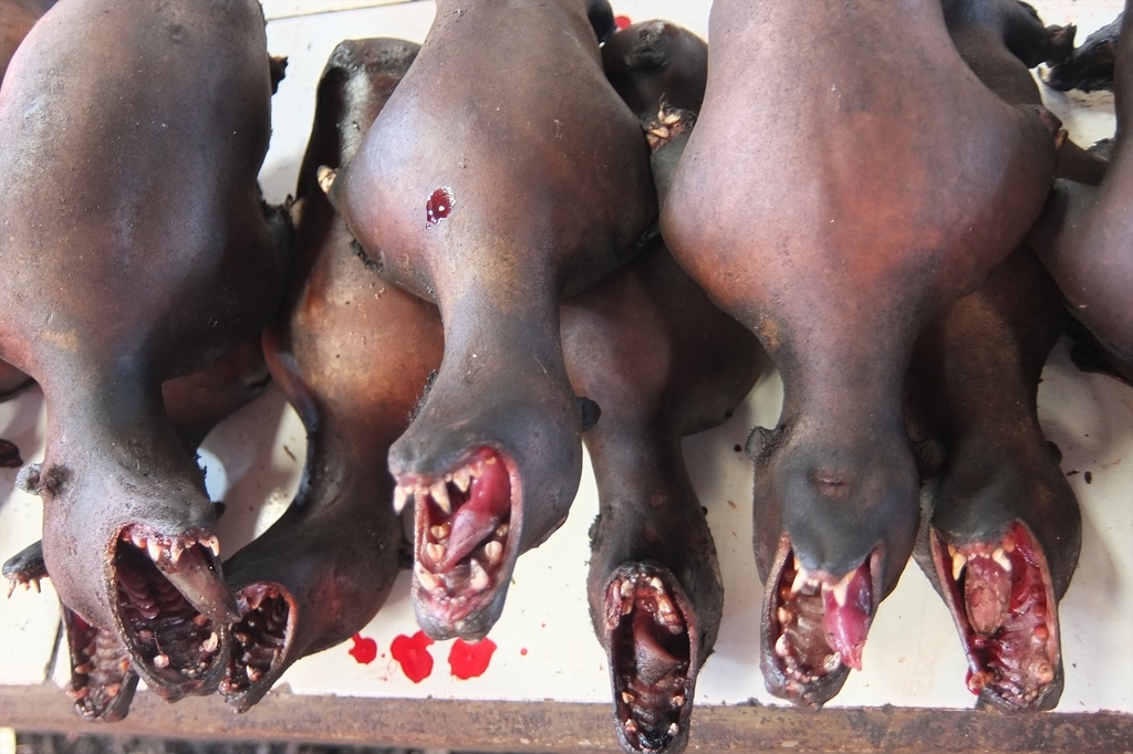 f:id:betydlig:20181211114312j:plain