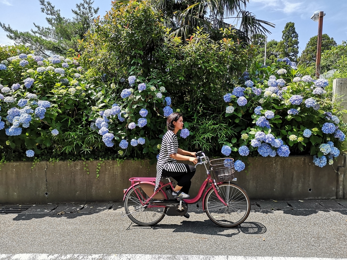 f:id:betydlig:20200810132945j:plain