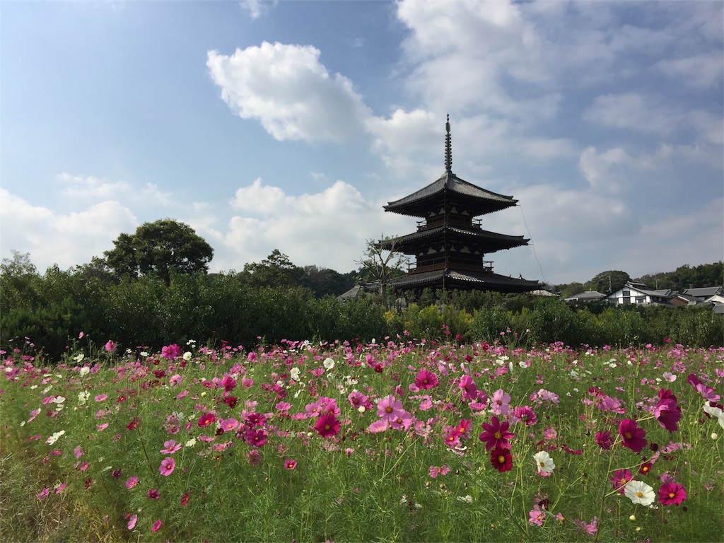 f:id:beyan1405:20171012175317j:image