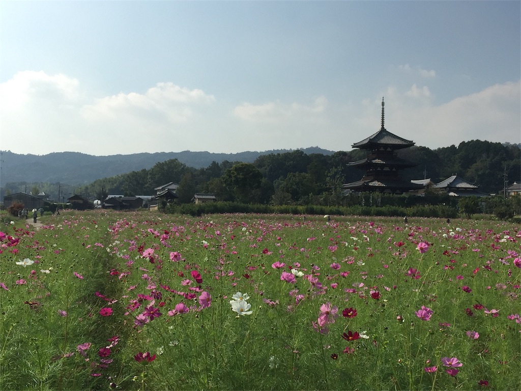 f:id:beyan1405:20171012175510j:image