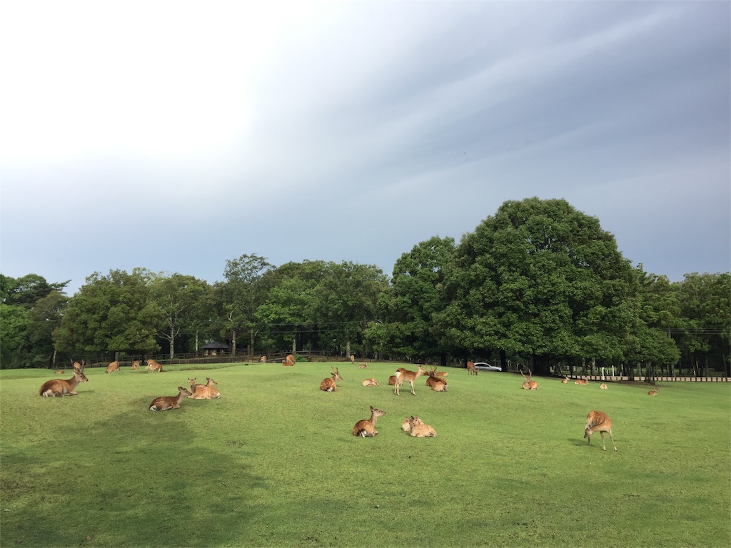 f:id:beyan1405:20180622104019j:image