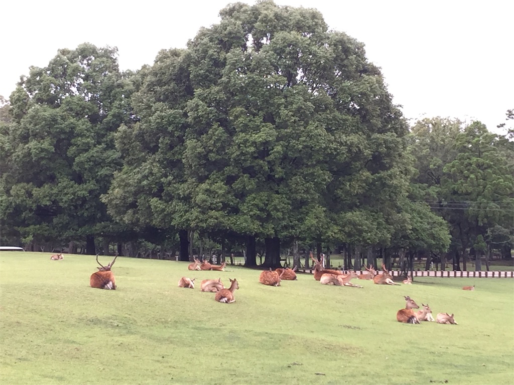 f:id:beyan1405:20180622104037j:image