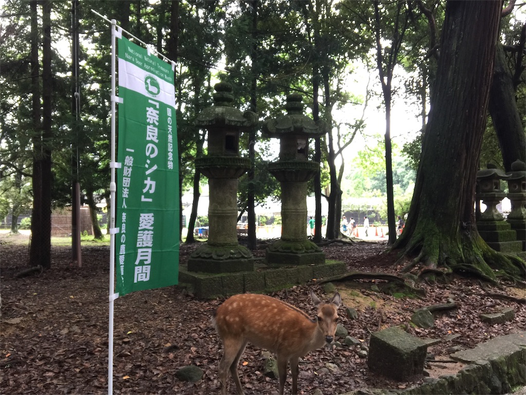 f:id:beyan1405:20180622104251j:image