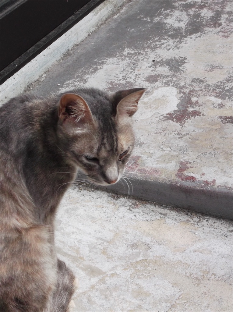 f:id:bf021hugtlang:20161002224607j:image f:id:bf021hugtlang:20161002224607j:image