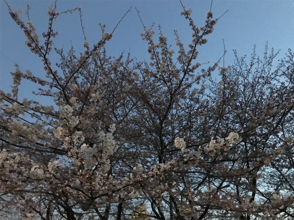 f:id:bf021hugtlang:20180325221908j:image f:id:bf021hugtlang:20180325221908j:image