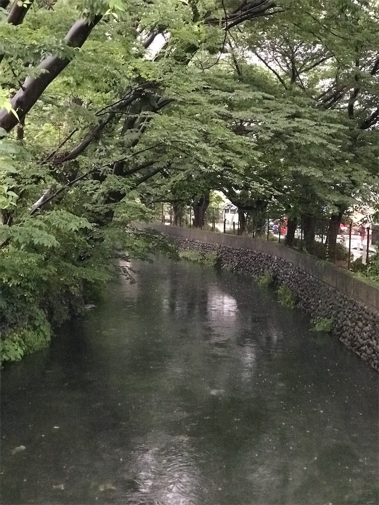 f:id:bf021hugtlang:20180623205121j:image f:id:bf021hugtlang:20180623205121j:image