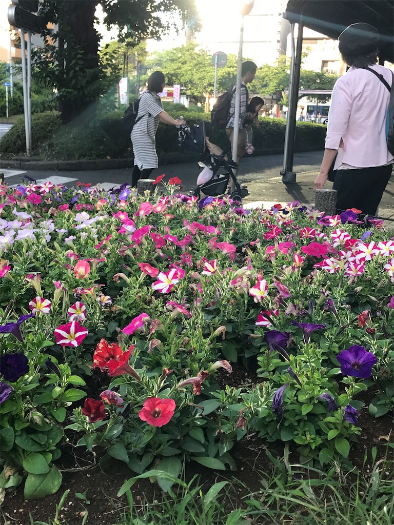 f:id:bf021hugtlang:20180624232559j:image