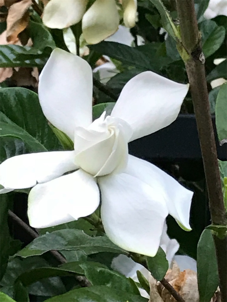 f:id:bf021hugtlang:20180701001436j:image