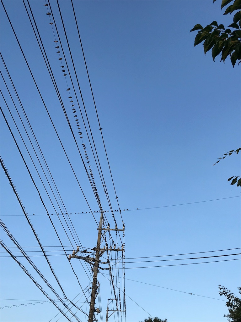 f:id:bf021hugtlang:20180702000423j:image