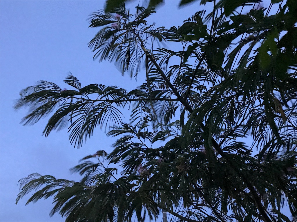 f:id:bf021hugtlang:20180704000803j:image