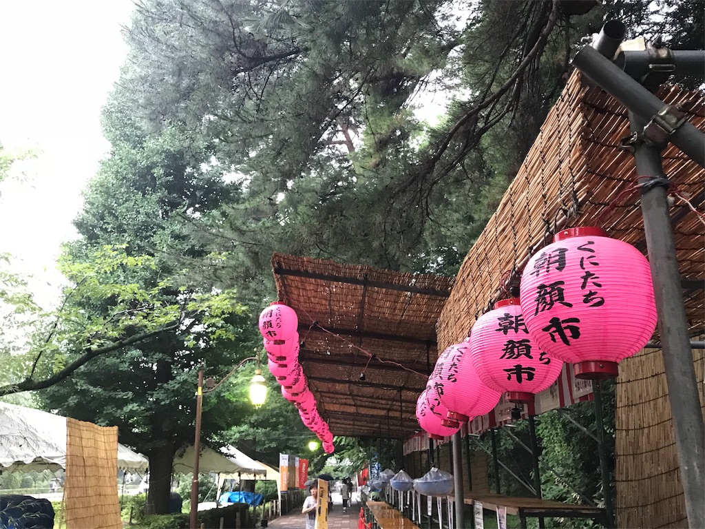 f:id:bf021hugtlang:20180706214440j:image