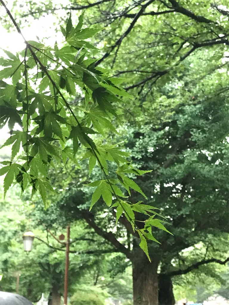 f:id:bf021hugtlang:20180706214814j:image