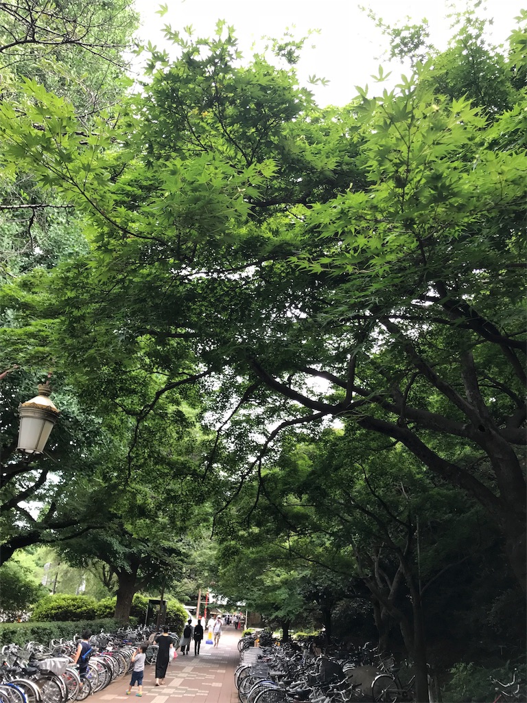 f:id:bf021hugtlang:20180708223729j:image f:id:bf021hugtlang:20180708223729j:image