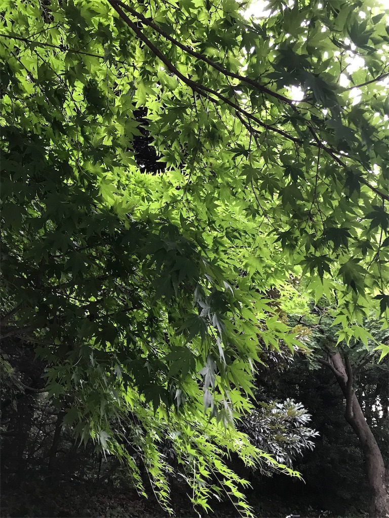 f:id:bf021hugtlang:20180708224350j:image f:id:bf021hugtlang:20180708224350j:image