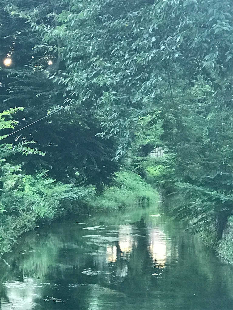 f:id:bf021hugtlang:20180708224857j:image f:id:bf021hugtlang:20180708224857j:image