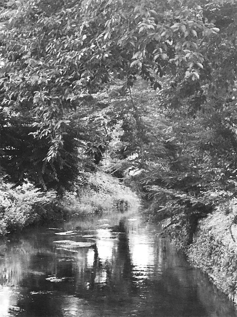 f:id:bf021hugtlang:20180708225000j:image f:id:bf021hugtlang:20180708225000j:image