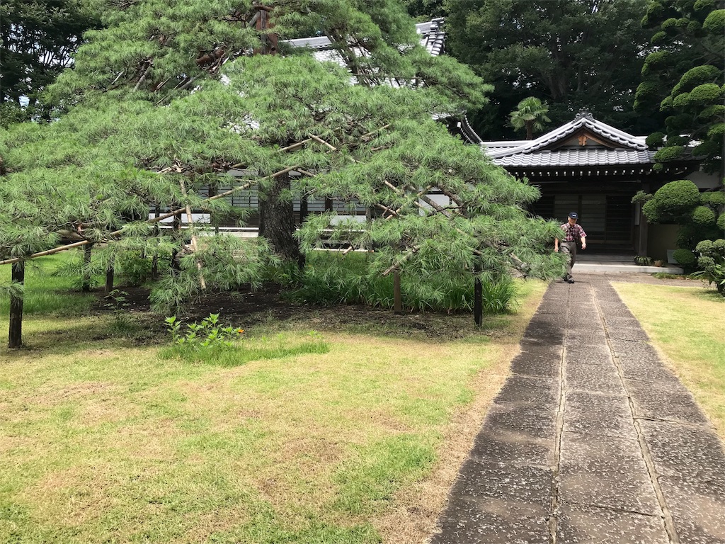 f:id:bf021hugtlang:20180713220302j:image