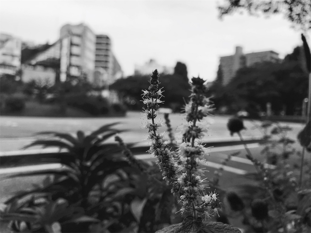 f:id:bf021hugtlang:20180716213248j:image