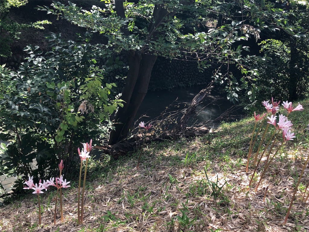 f:id:bf021hugtlang:20180815220721j:image f:id:bf021hugtlang:20180815220721j:image