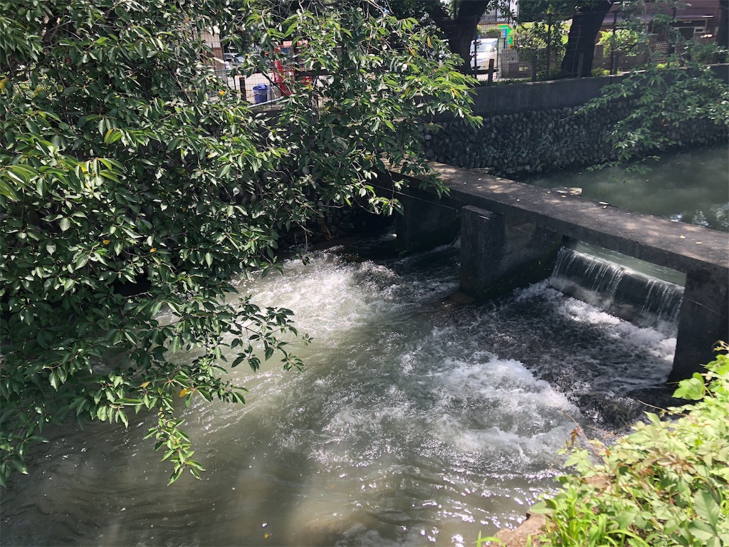 f:id:bf021hugtlang:20180815221050j:image f:id:bf021hugtlang:20180815221050j:image