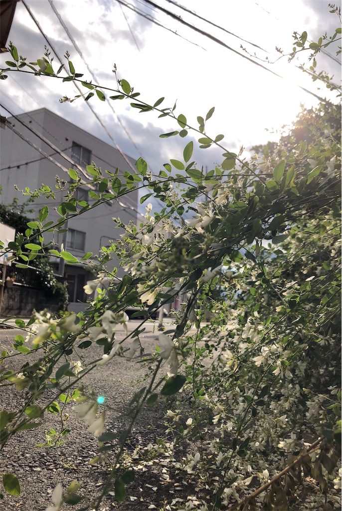 f:id:bf021hugtlang:20181012212211j:image f:id:bf021hugtlang:20181012212211j:image